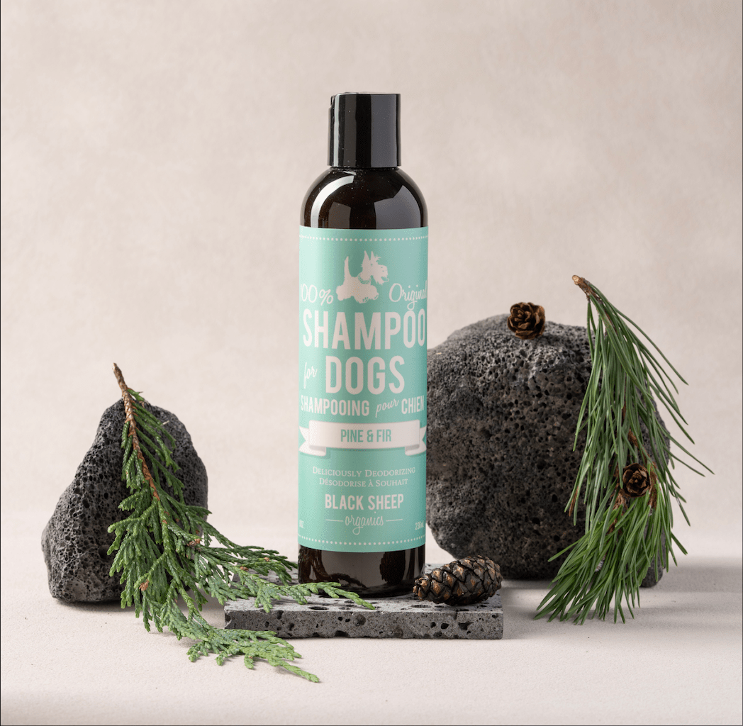 Dog Deodorizer Shampoo | Natural Pine & Fir for Smelly Dogs