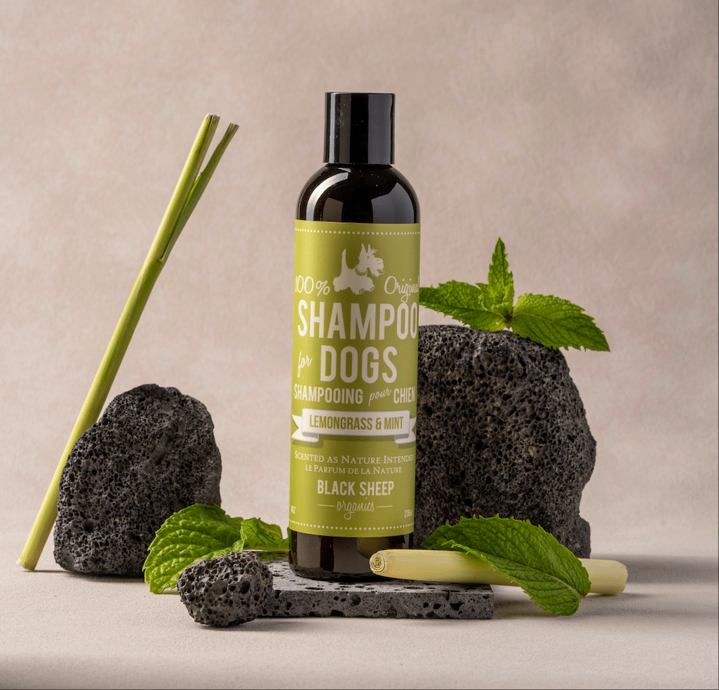 Organic Dog Shampoo – Lemongrass & Mint for Outdoor Dogs – Black