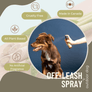 Off Leash Dog Spray – Itch Relief & Deodorizing