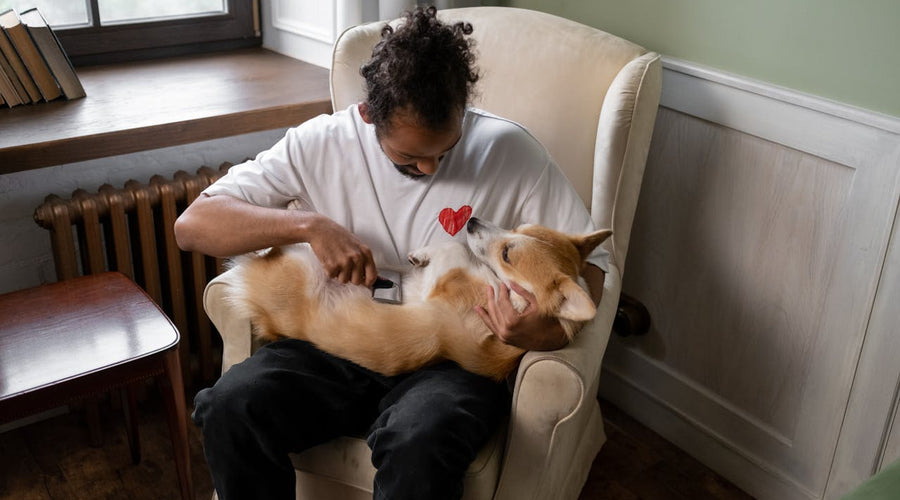 How to Remove Dog Hair from Clothes: Simple and Effective Methods