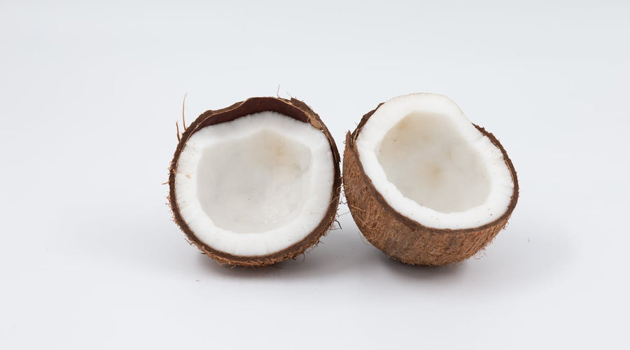 Coconut Oil for Dogs Teeth: A Natural Way to Freshen Breath and Fight Plaque