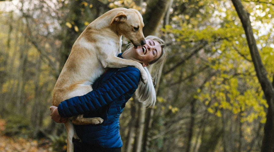 How to Make Your Dog Smell Good Without a Bath