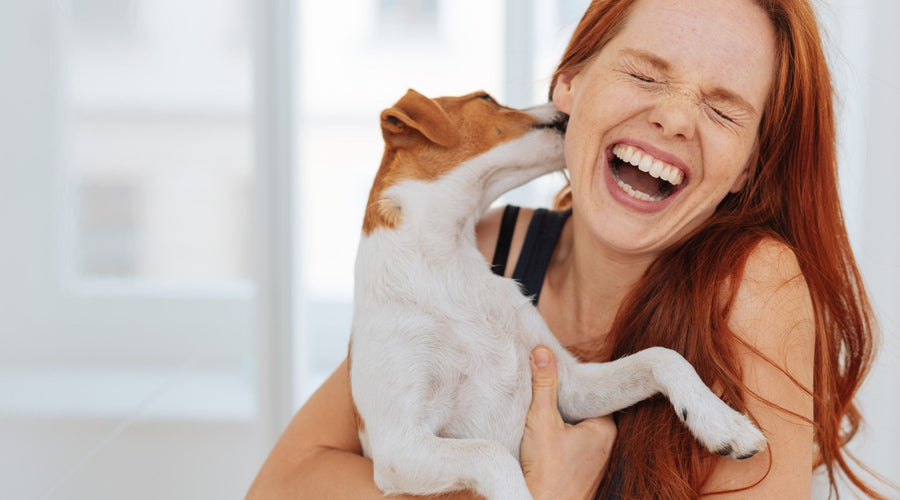 Can I Use a Human or Regular Toothbrush on My Dog? (Do's & Don'ts)