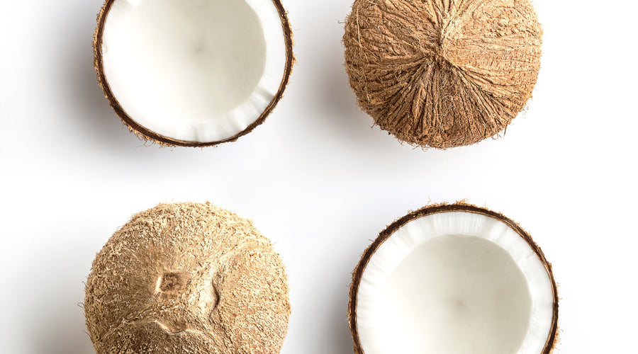 Why Use Organic Coconut Oil in Dog Shampoo?