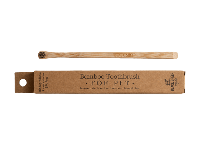 Bamboo Dog Toothbrush - Small