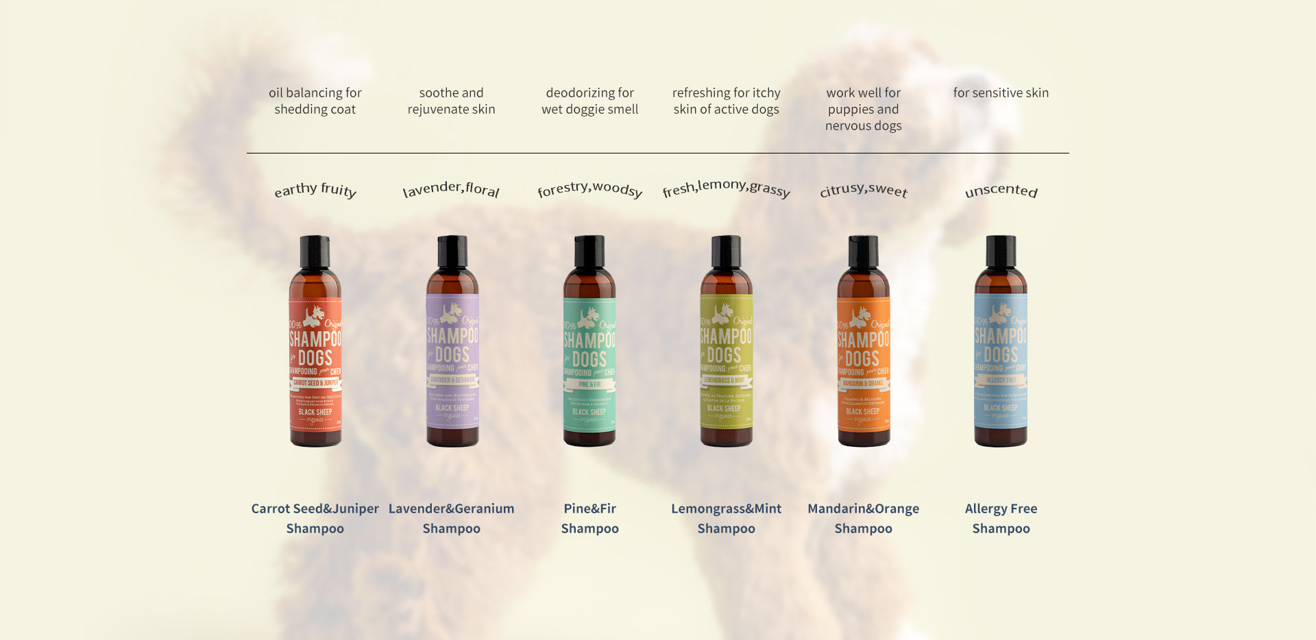 A detailed comparison graphic of dog shampoos featuring a list of six different types, each serving a specific function.