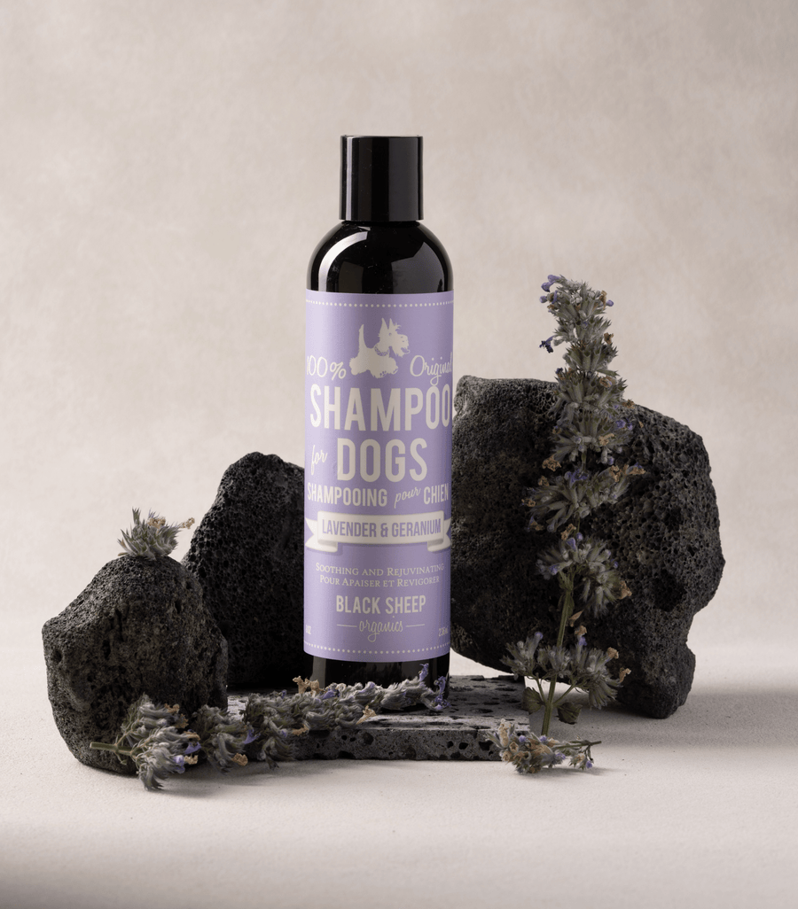 Lavender & Geranium Dog Shampoo