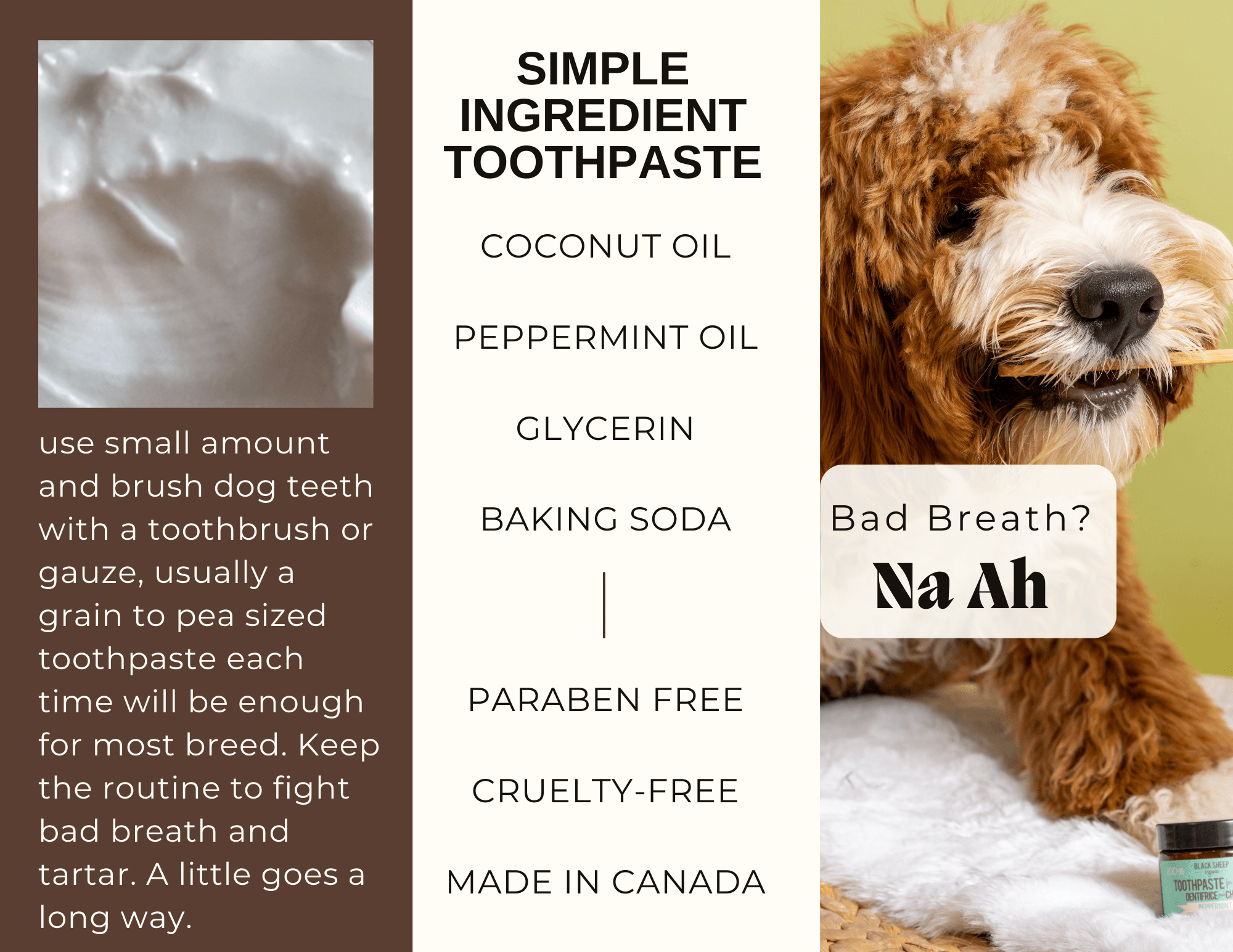 Dg Toothpaste Mint Dog Toothpaste with Coconut Oil – Natural Dog Toothpaste – Black ...