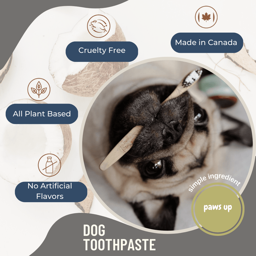 god toothpaste with material instructions