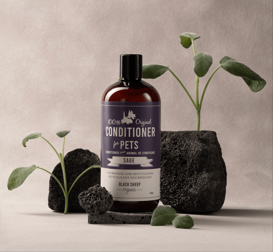 Natural Dog Conditioner – Sage