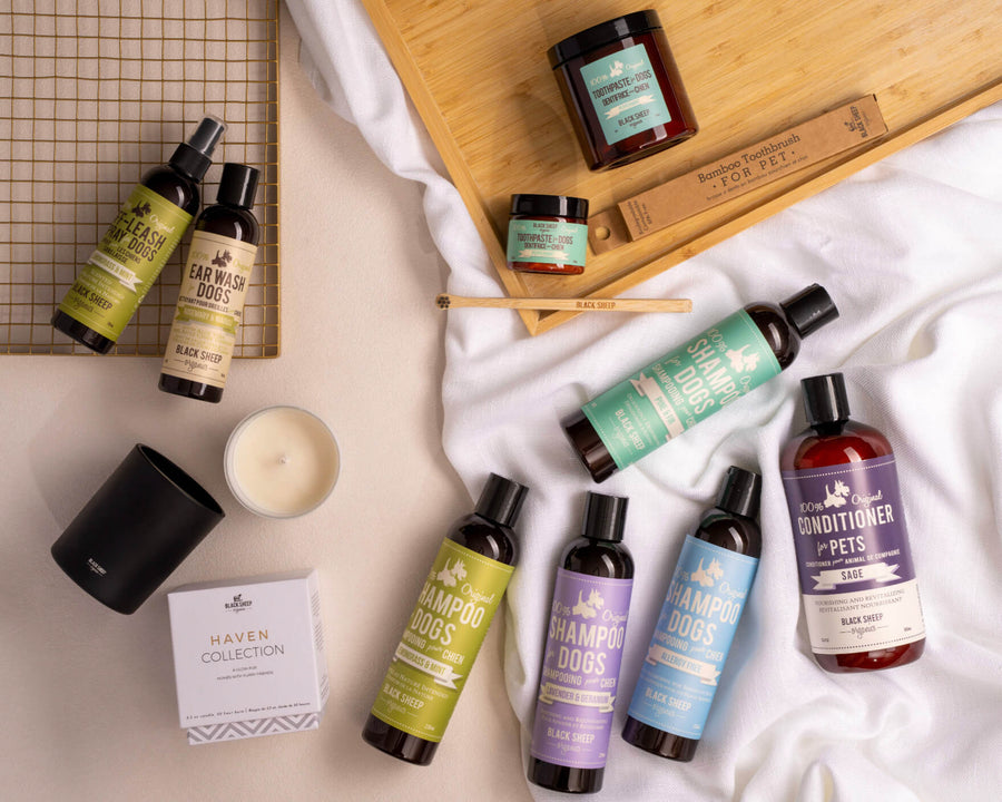 Complete collection of natural dog grooming products including organic shampoos, dental care, dog ear wash, spray and pet safe candles from black sheep organics