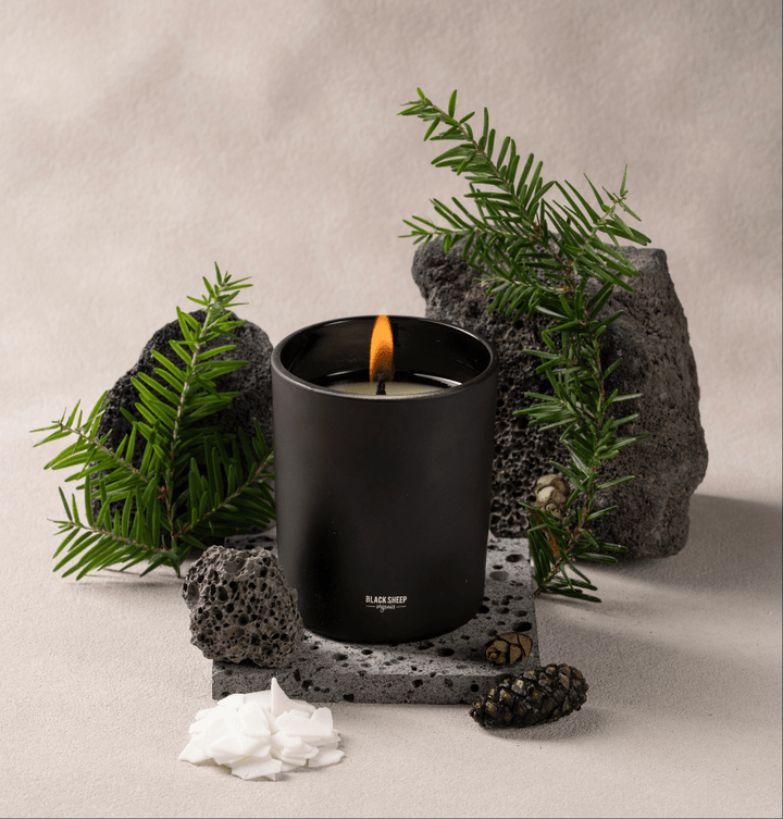 Pet Friendly Candles - Cedarwood Jasmine