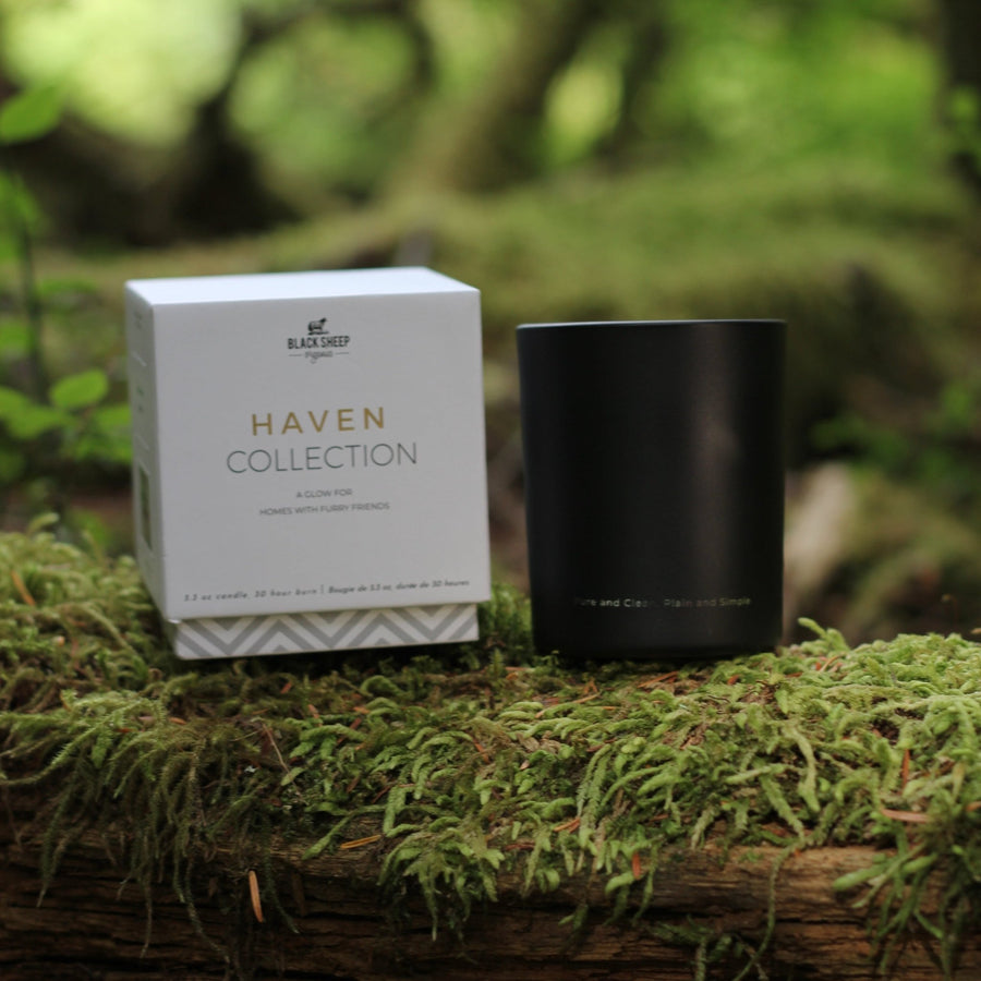 Black container pet friendly soy candle and white box labeled 'Haven Collection' on a mossy surface with blurred greenery in the background