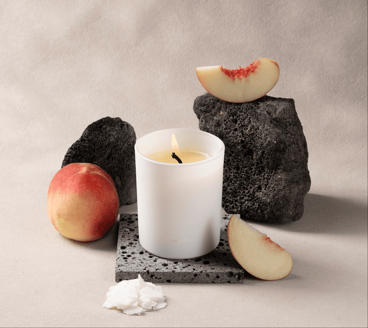 PET SAFE CANDLE - PEACH PARFAIT