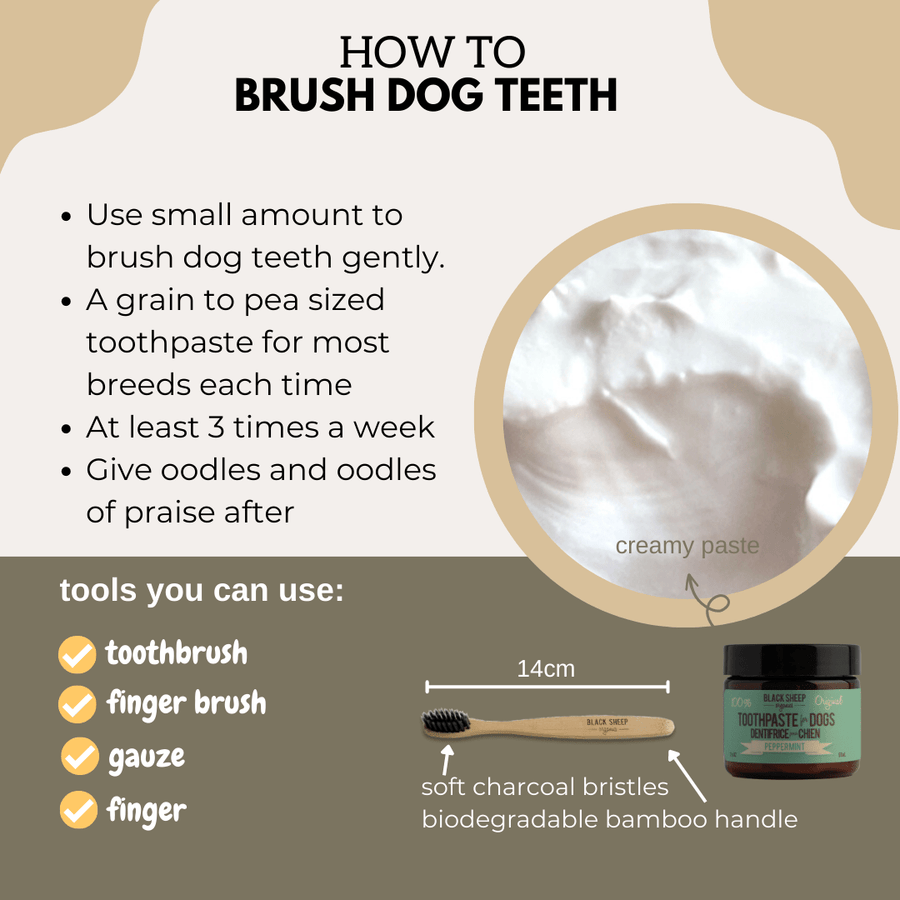 Bamboo Dog Toothbrush - Soft