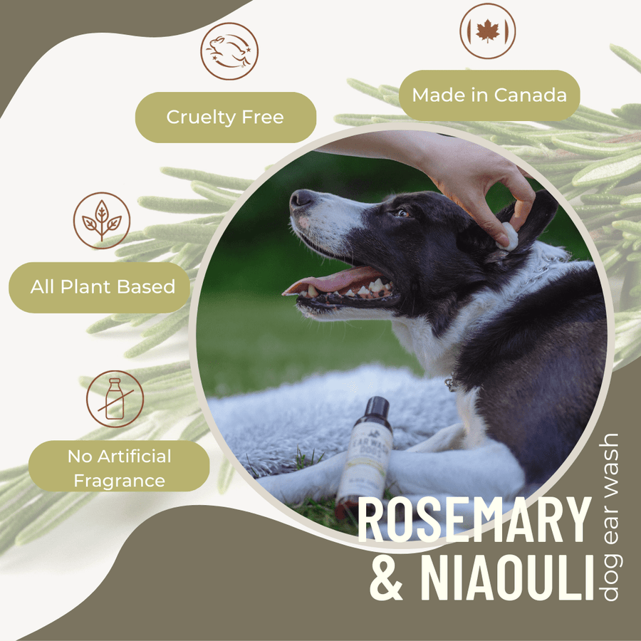Natural Dog Ear Cleaner – Rosemary & Niaouli