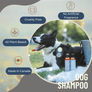 Lavender & Geranium Dog Shampoo