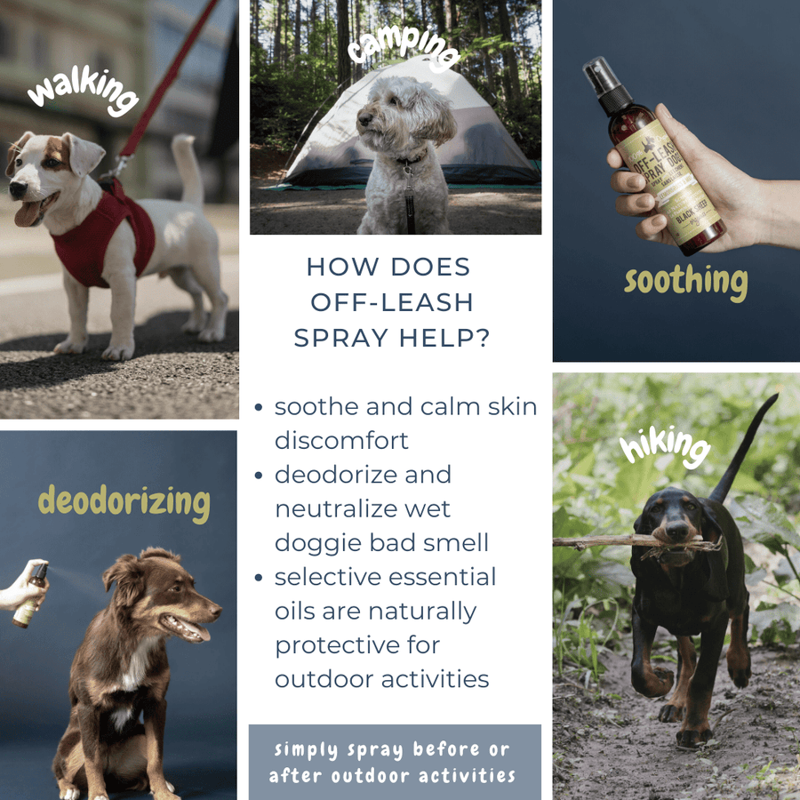 Off Leash Dog Spray – Itch Relief & Deodorizing