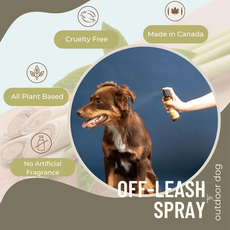 Off Leash Dog Spray – Itch Relief & Deodorizing