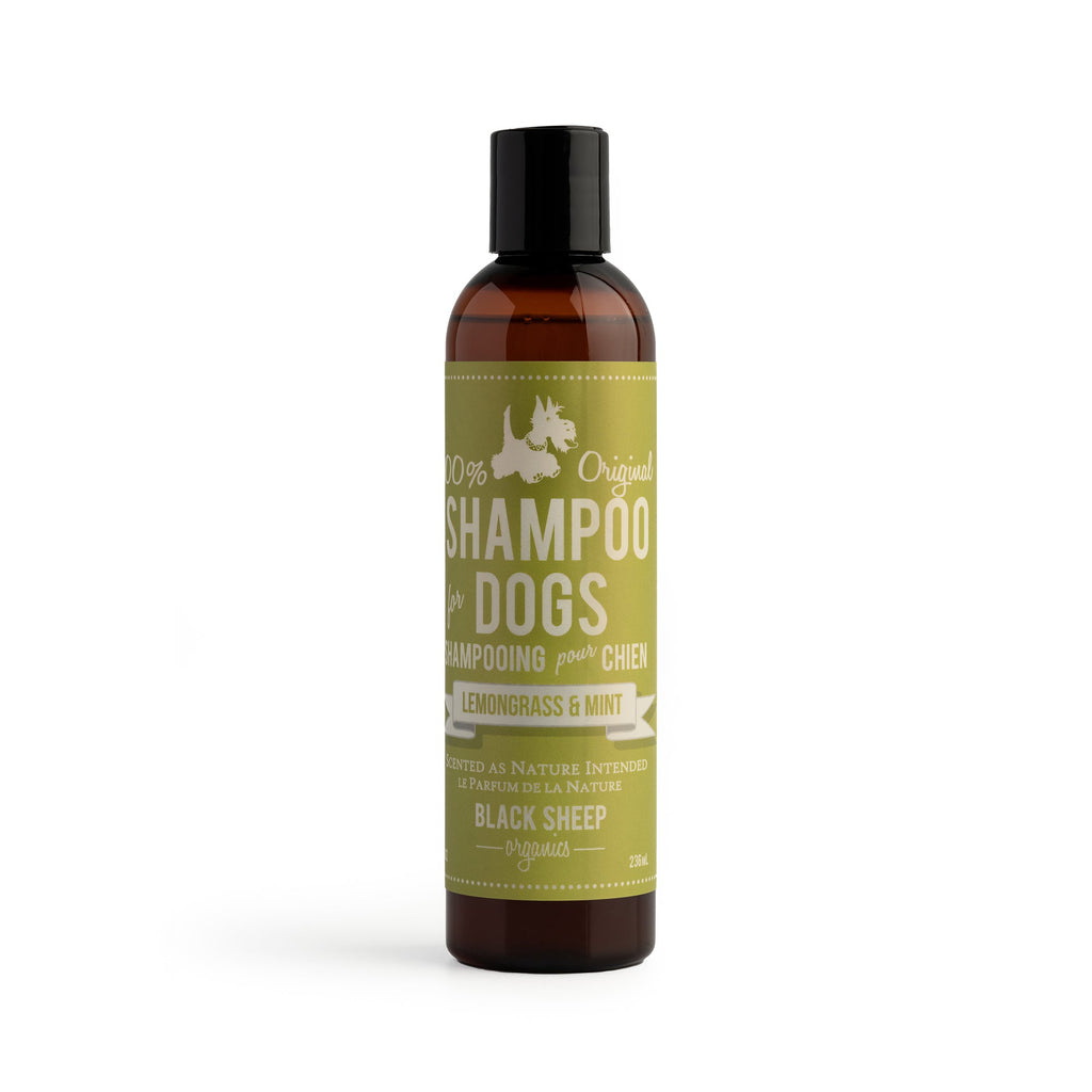 Organic Dog Shampoo – Lemongrass & Mint for Outdoor Dogs – Black