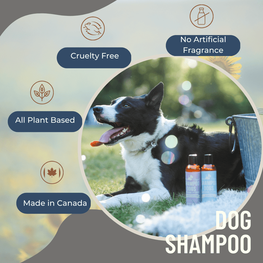 Natural Dog Shampoo - Lemongrass & Mint