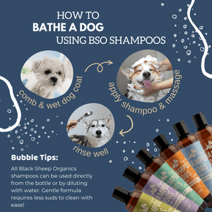 Organic Dog Shampoo – Lemongrass & Mint for Outdoor Dogs – Black