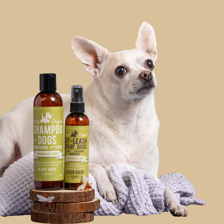 Organic Dog Shampoo & Spray - Lemongrass Duo Set